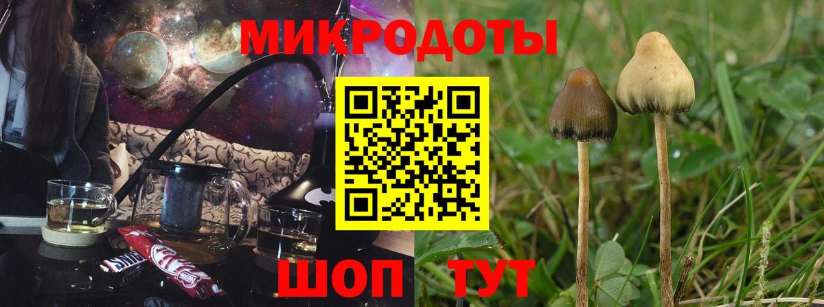 Псилоцибиновые грибы Magic Shrooms  Вход с VPN  Тихорецк 