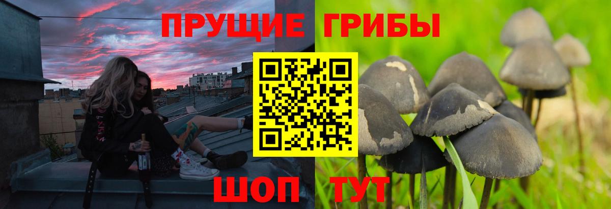 LSD-25  Тихорецк  АМФЕТАМИН кристаллы  ГАШ  Мефедрон кристаллы  COCAIN  Вход с VPN 